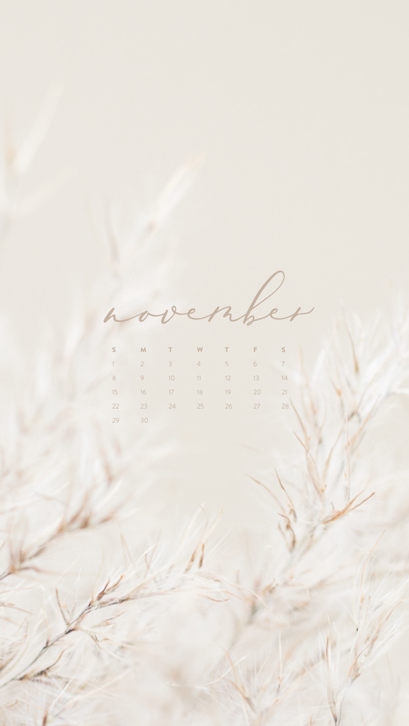 Free Downloadable Tech Backgrounds for November 2021  The Everygirl