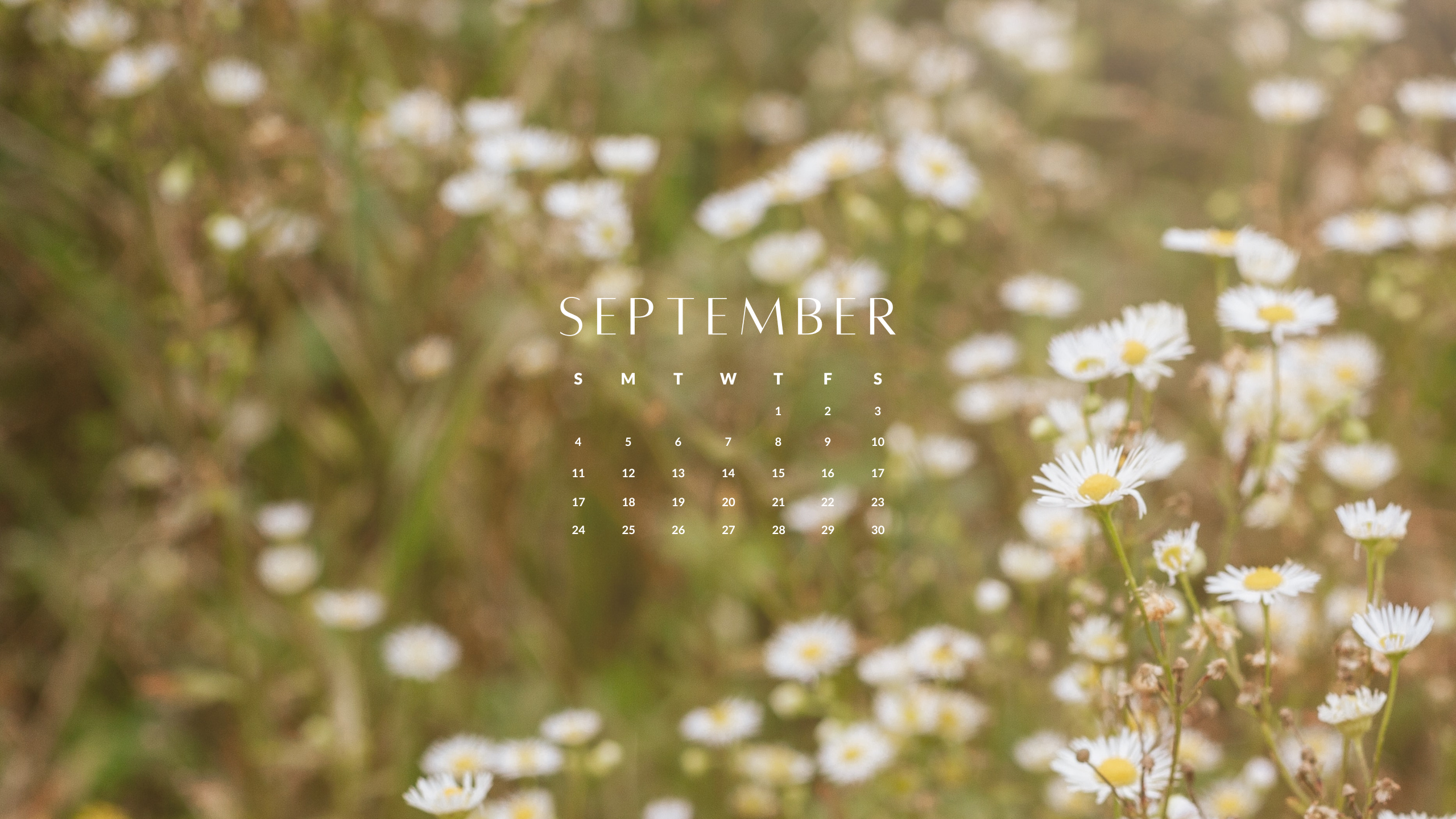 September Backgrounds: Free Download for Your Phone, Tablet or Desktop —  The Morning